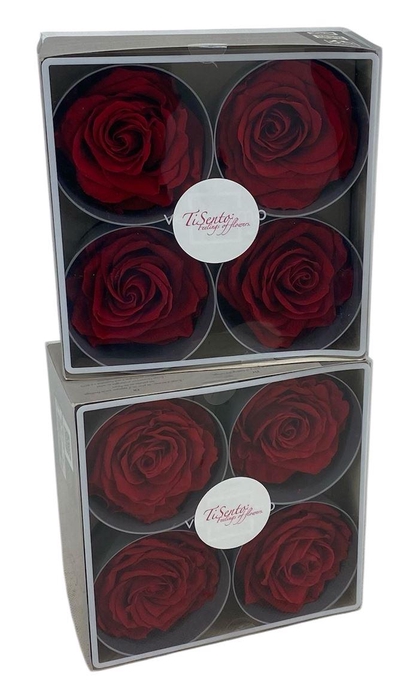 <h4>Arrangementen Potroos H%</h4>
