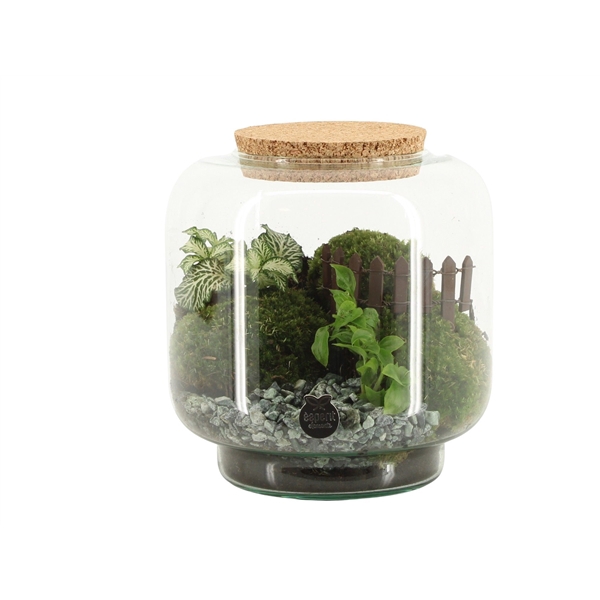 <h4>90772: Landscape terrarium arrangement</h4>