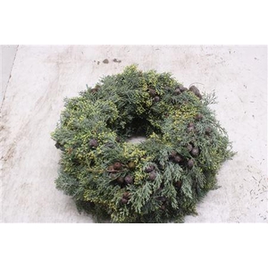 Krans Cypresse 45cm