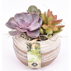 Keramiek sierpot bruin/creme10cm