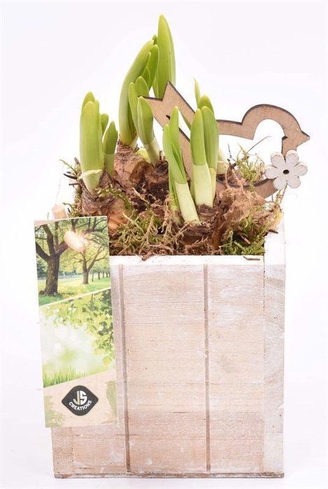 <h4>Hout box white wash 10x10cm</h4>