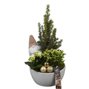 PTCHG5626 Arrangementen Kerst