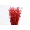 Berk Klb Red