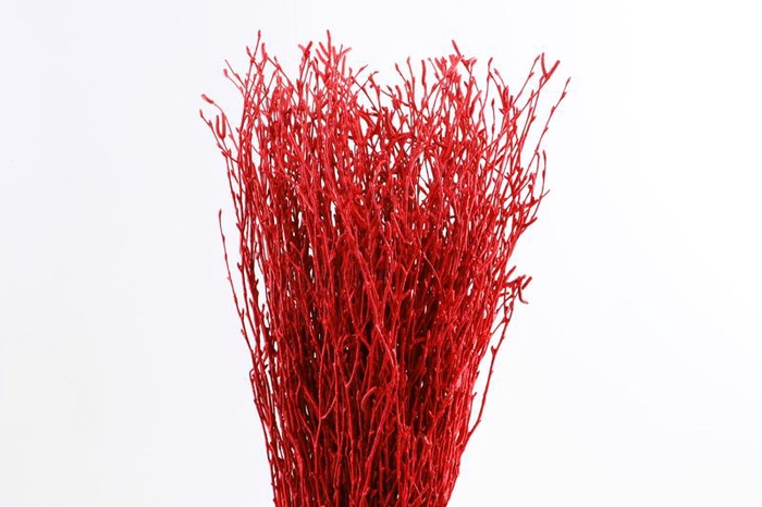 <h4>Berk Klb Red</h4>