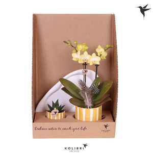 Kolibri Gift Set small Easter