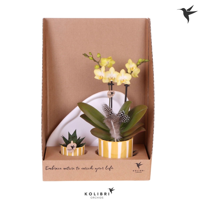 <h4>Kolibri Gift Set small Easter</h4>