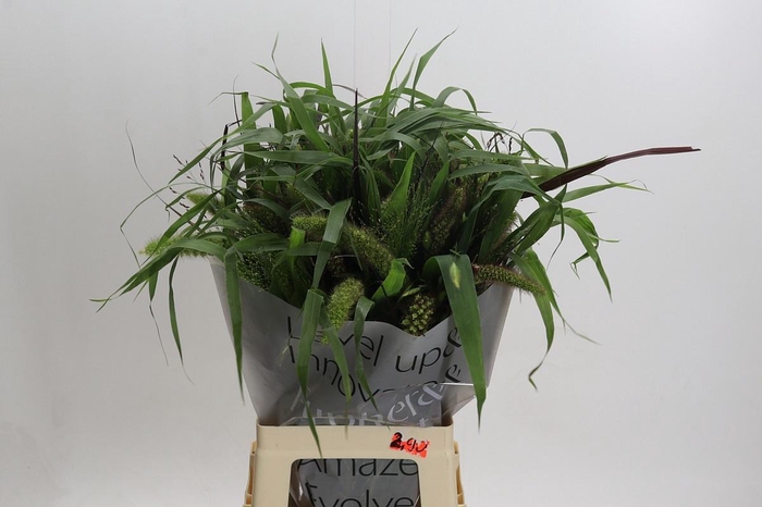 <h4>SIERGR GEM FUST</h4>