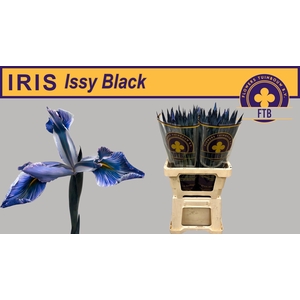 IRIS OV