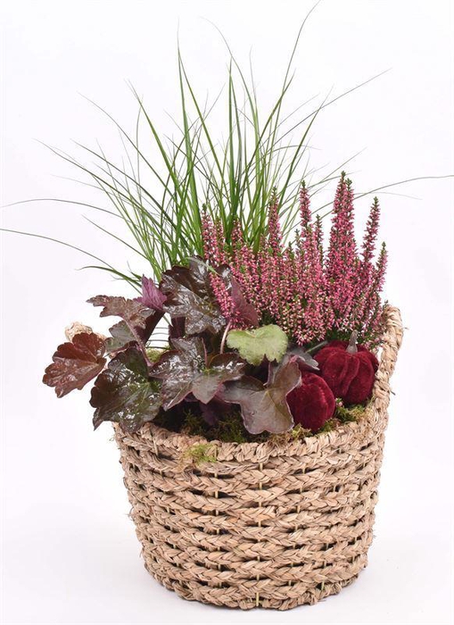 <h4>Natuiur mand gevl met oren 23cm</h4>