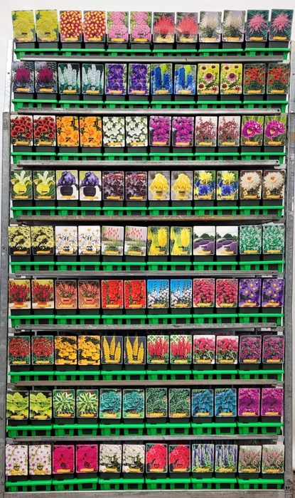 Vaste planten mixkar