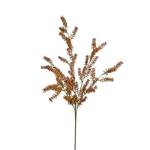 AF Lysimachia spr/5 L100cm ora
