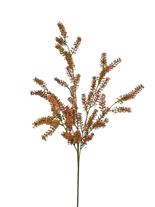 <h4>AF Lysimachia spr/5 L100cm ora</h4>