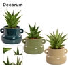 Sansevieria Crown mix 9 cm in Lucy (Top blend-collection)