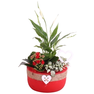 Valentine Arr. Indoor Ceramic Pot Round Rope Heart Red Ø18cm 3PP