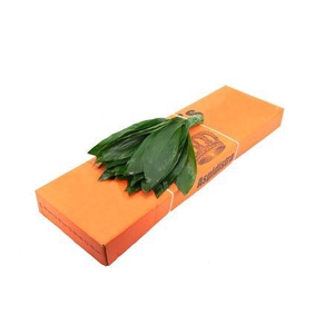 ASPIDISTRA KORT