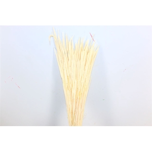 Dried Phleum Bleached Bunch