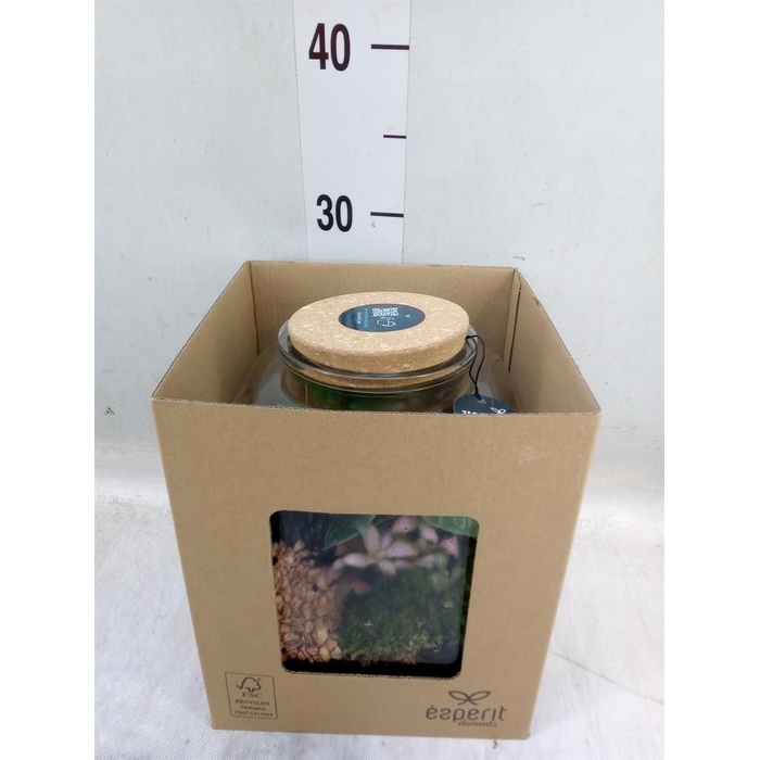 <h4>Arr.    Planten  H%</h4>