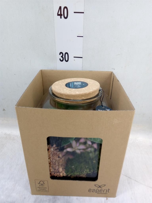 <h4>Arr.    Planten  H%</h4>