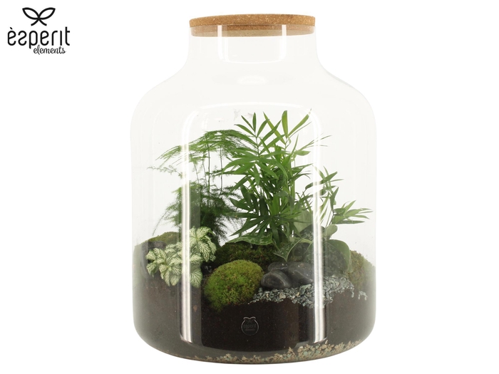 <h4>91002: Terrarium arrangement</h4>