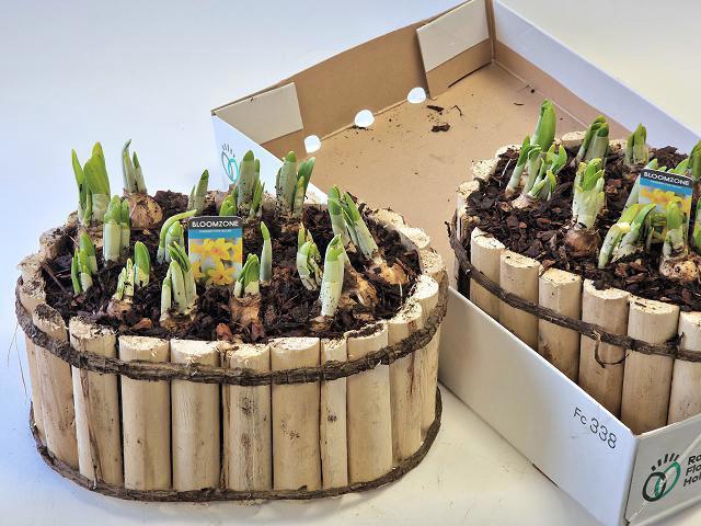 <h4>ARR N TETE A TETE</h4>