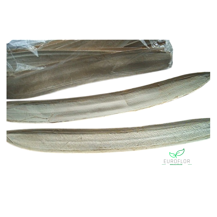 <h4>BOATS BLEACHED 12ST</h4>