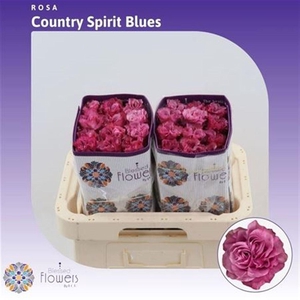 R Gr Country Blues Ec