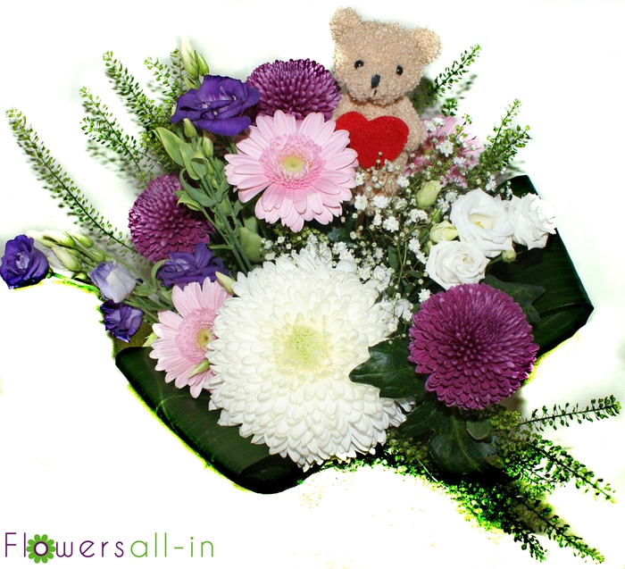 <h4>M202411 Lila</h4>