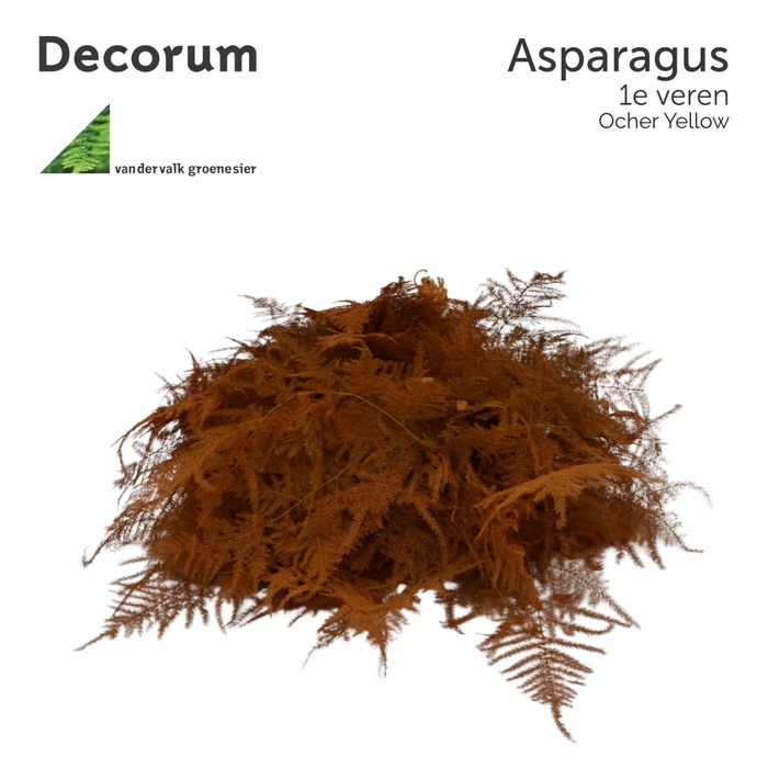 <h4>ASP 1e veren Oker geel 45cm box x50</h4>