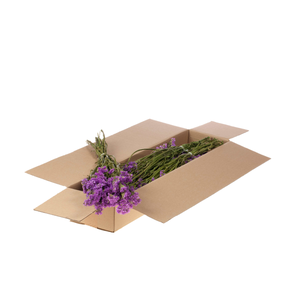 Statice Sinuata Sb Natural Dark Pink