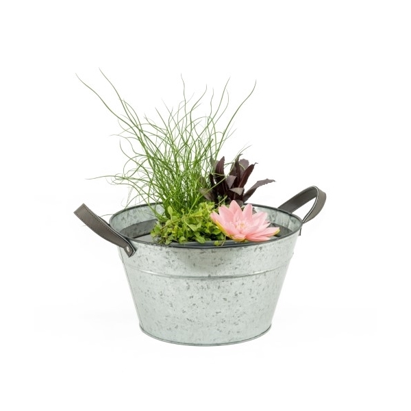 Terrasvijver zink blanco inc. mand