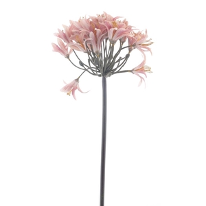 Larane lily spray 80cm pink
