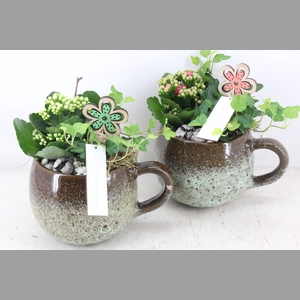 arr2 MB - Keramiek mok x6 - roze/wit