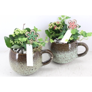 Arr2 Mb - Keramiek Mok X6 - Roze/wit