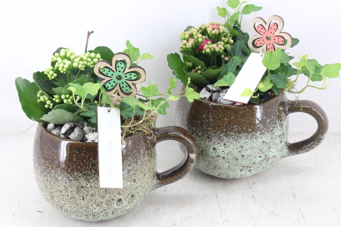 <h4>arr2 MB - Keramiek mok x6 - roze/wit</h4>