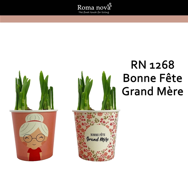 <h4>1268 - Bonne Fête Grand Mère (Tete a Tete)</h4>