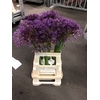 ALLIUM PURPLE RAIN