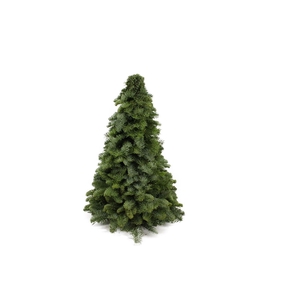 Kerstboom Nobilis 50cm