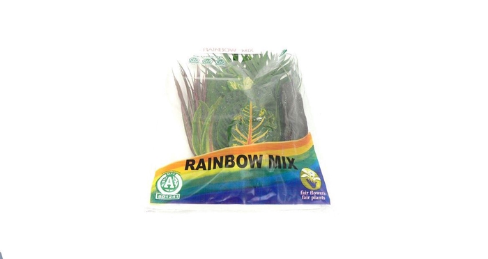 <h4>Tropical Mix X10</h4>