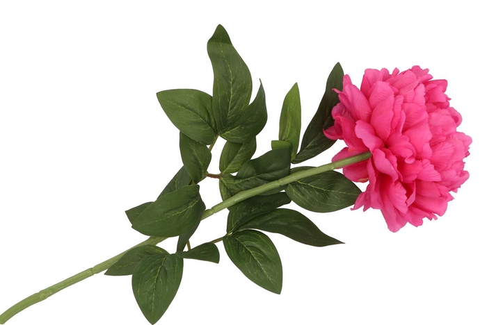 <h4>Silk Peony Tak Pink 71cm</h4>