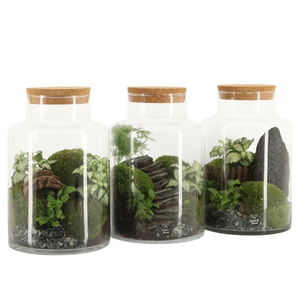 <h4>90777: Landscape terrarium arrangement</h4>