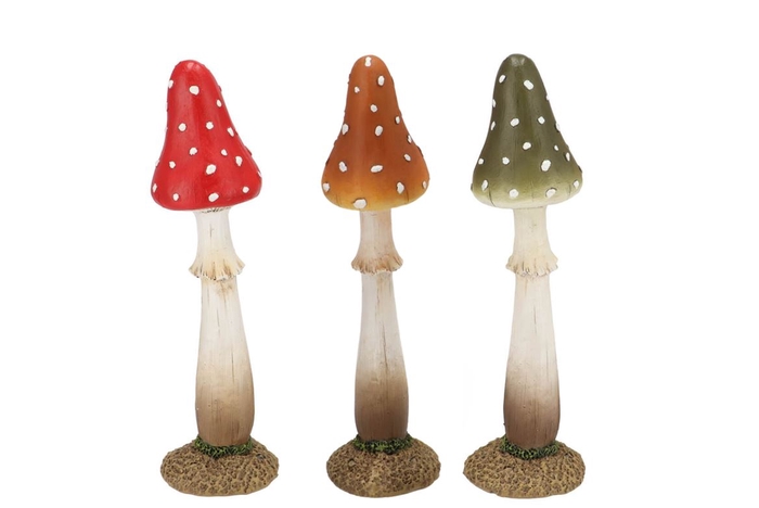 Wonderland Mushroom Scottisch Spice Coprinus Ass 7x7x24cm