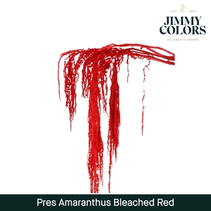 Dried Amaranthus Red