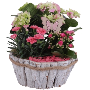 Spring Flower Arr. Outdoor Barkpot Round White Ø24cm 3PP