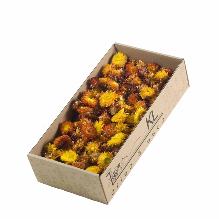 <h4>Helichrysum Heads 100gr Natural Orange</h4>