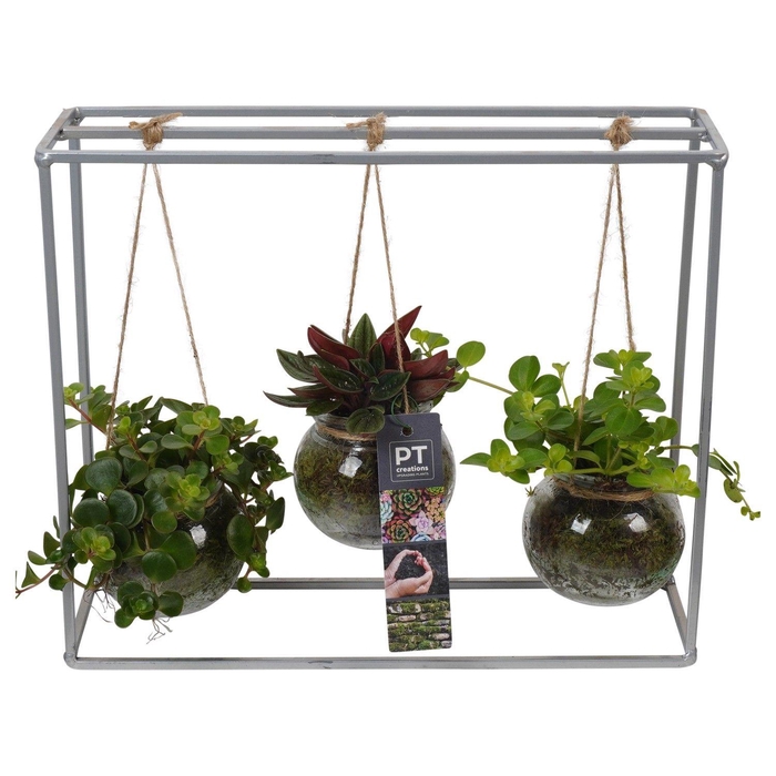 <h4>PTGIG2128 Arrangement Greens in glass in bol met metalen rek</h4>
