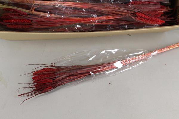 <h4>Df Setaria 70cm Red Bs 50g</h4>