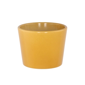 Ceramic Pot Curry Shiny 11cm