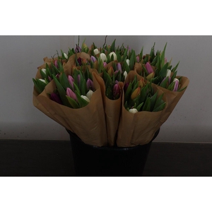 Tu En Heidelbeer Mix