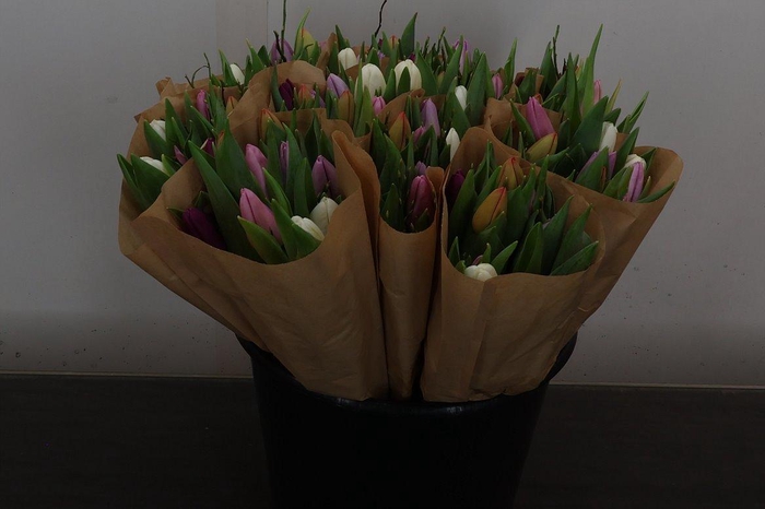 <h4>Tu En Heidelbeer Mix</h4>