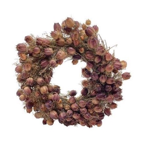 Wr Nigella Naturel 30cm